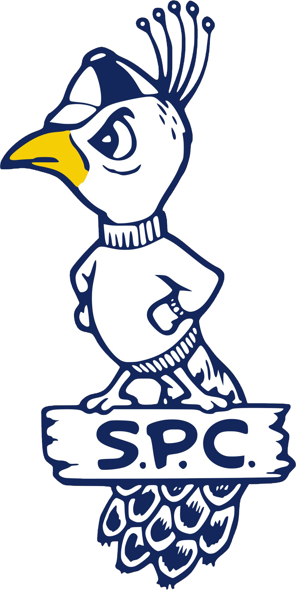 St. Peters Peacocks 1965-1982 primary logo DIY iron on transfer (heat transfer)
